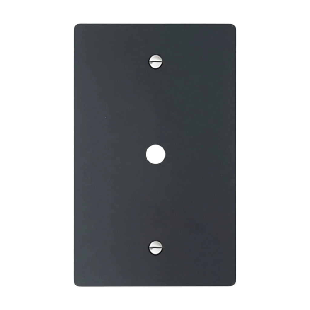 1-gang solid brass wall plate in matte black finish, rotary dimmer opening, silver screws