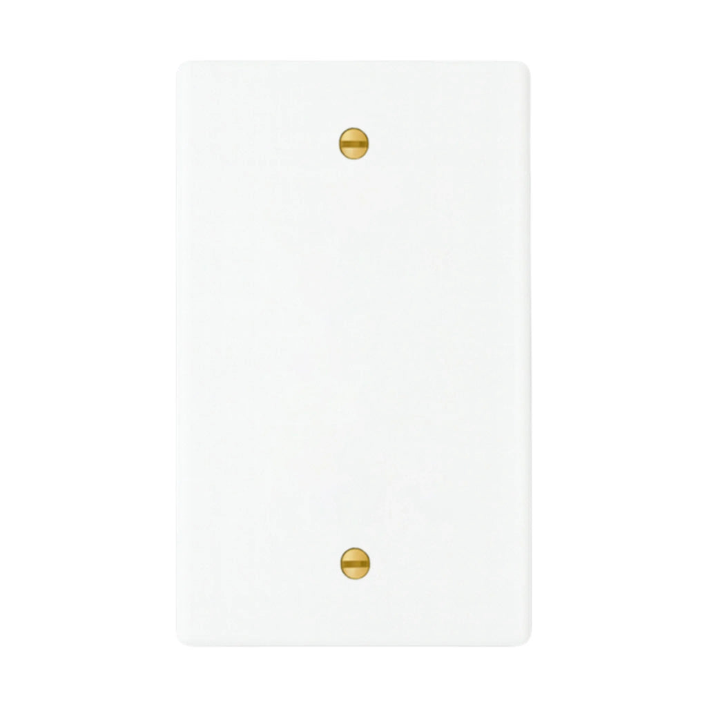 1-gang blank wall plate in White finish with brass screws