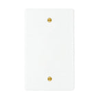1-gang blank wall plate in White finish with brass screws