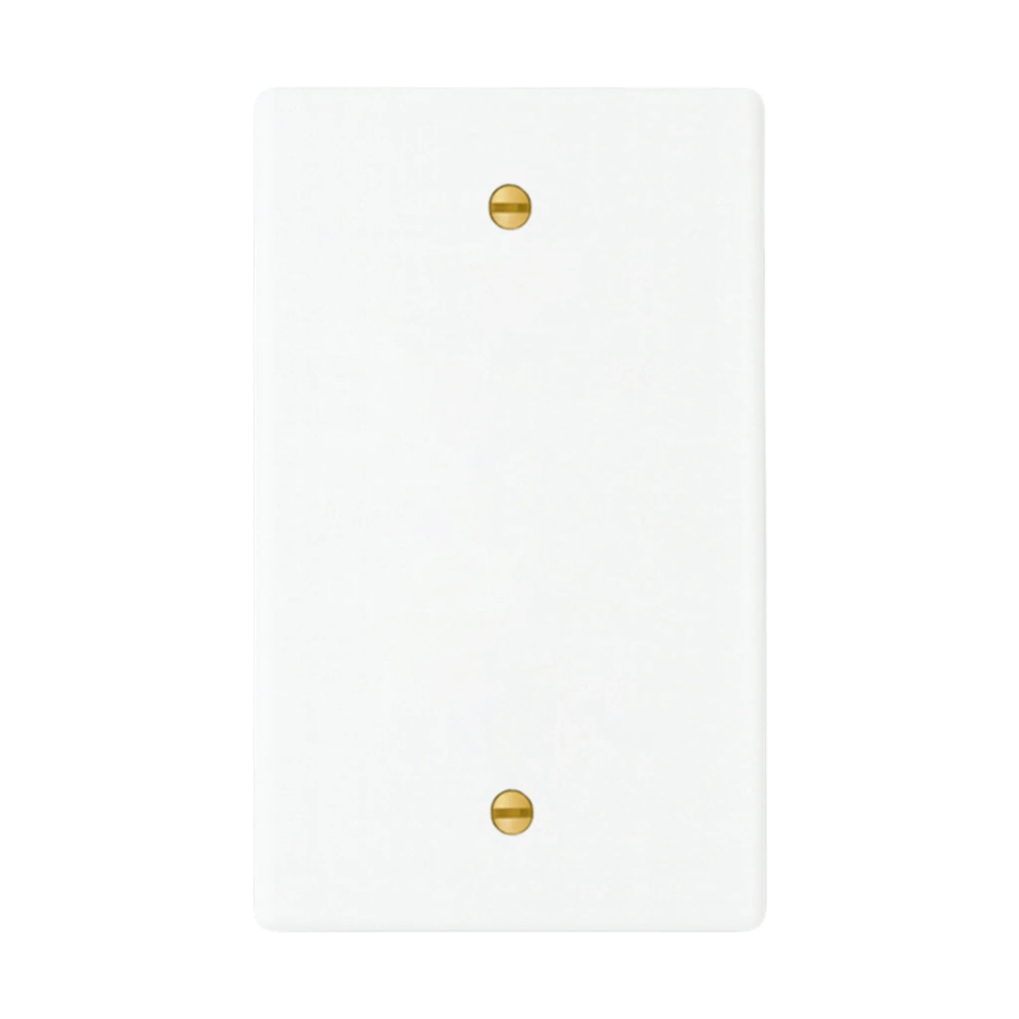 1-gang blank wall plate in White finish with brass screws