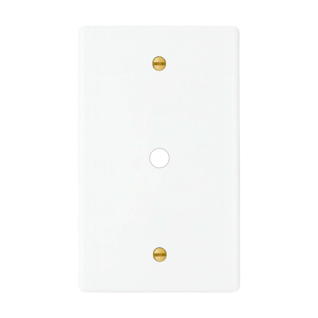 1-gang solid brass wall plate in white finish, rotary dimmer opening with brass screws
