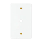 1-gang solid brass wall plate in white finish, rotary dimmer opening with brass screws