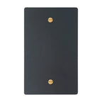 1-gang blank wall plate in Matte Black finish with brass screws (coated brass)