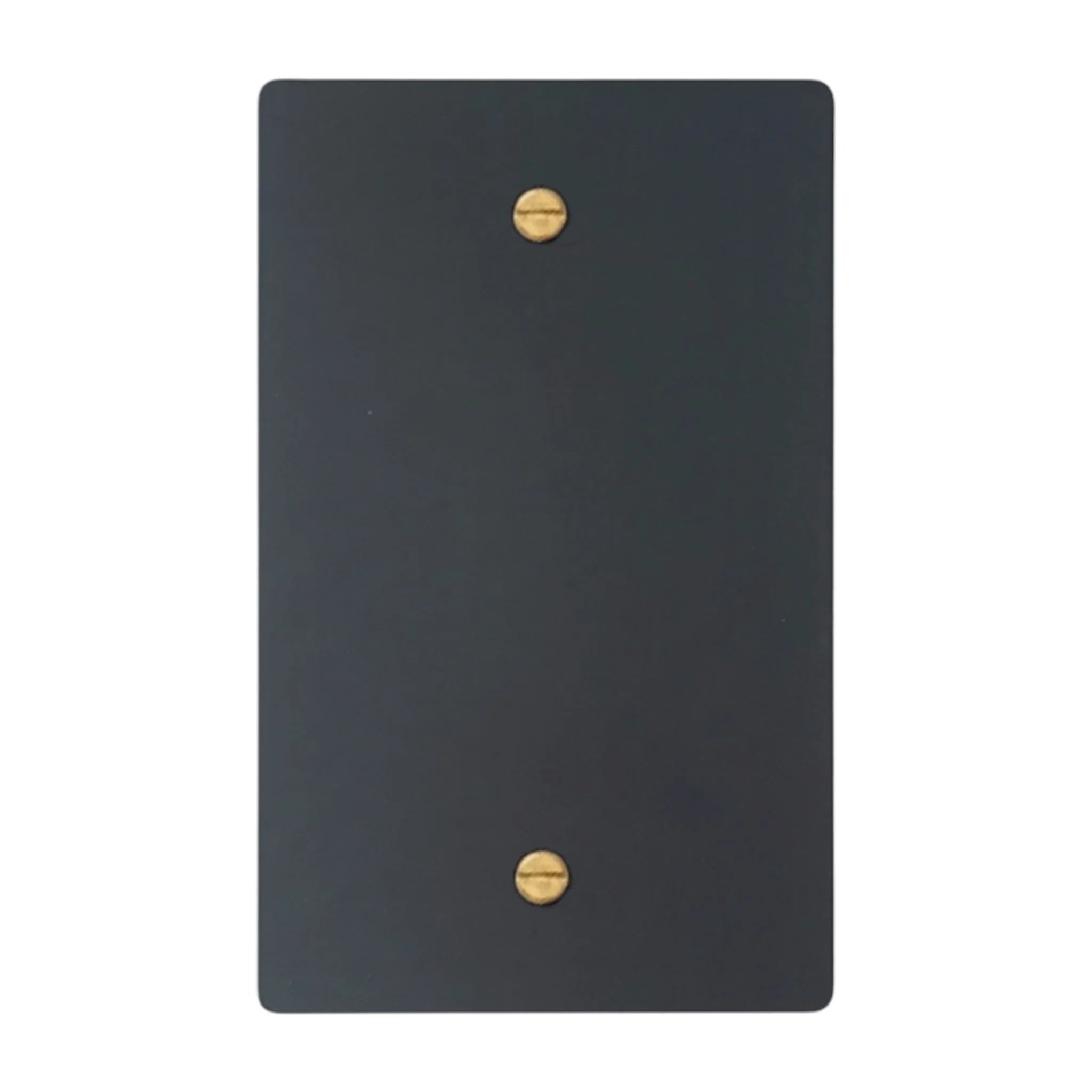 1-gang blank wall plate in Matte Black finish with brass screws (coated brass)