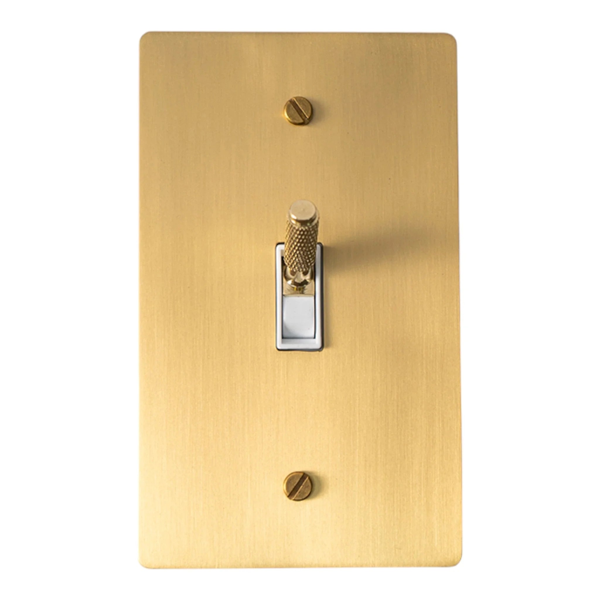 Satin brass switch plate with two screws on a white background