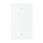 1-gang solid brass wall plate in white finish, rotary dimmer opening