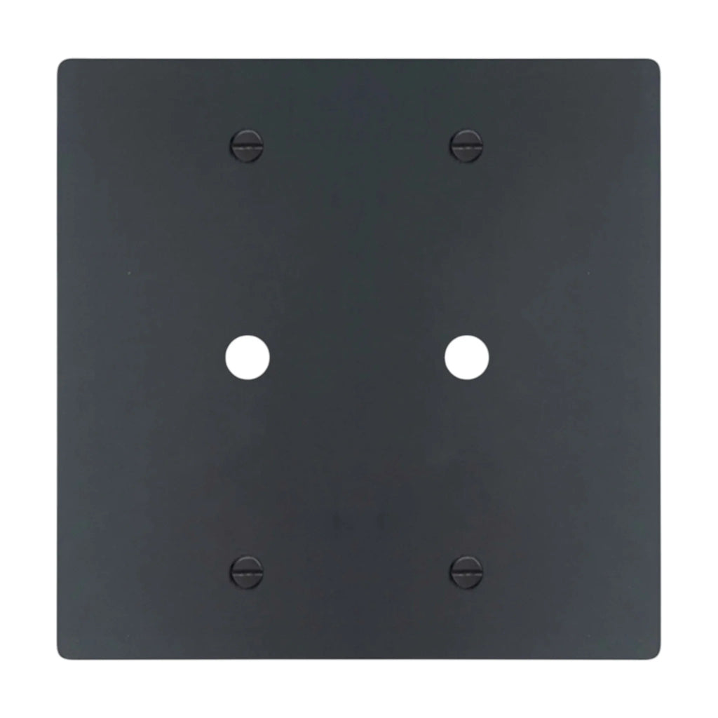 2-gang solid brass wall plate in matte black finish, double rotary dimmer opening