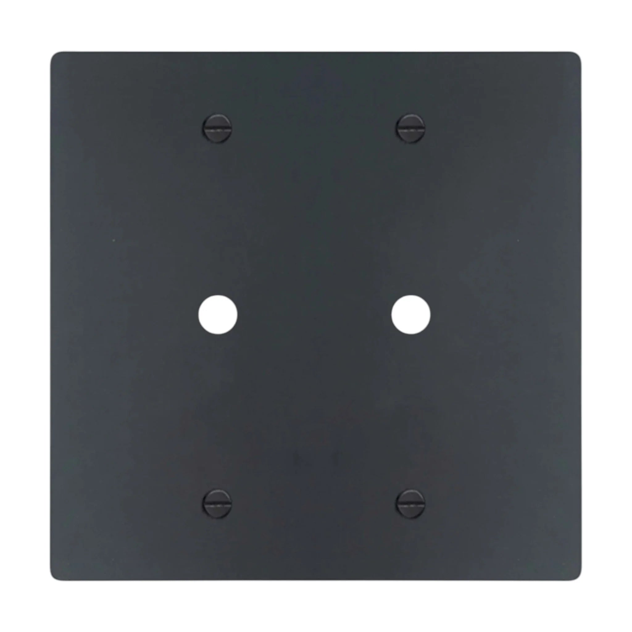 2-gang solid brass wall plate in matte black finish, double rotary dimmer opening