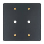 2-gang solid brass wall plate in matte black finish with brass accents, double rotary dimmer opening