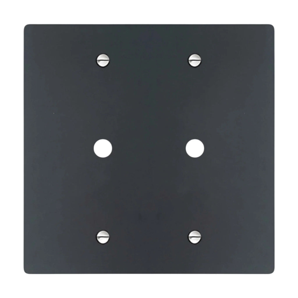 2-gang solid brass wall plate in matte black finish, double rotary dimmer opening