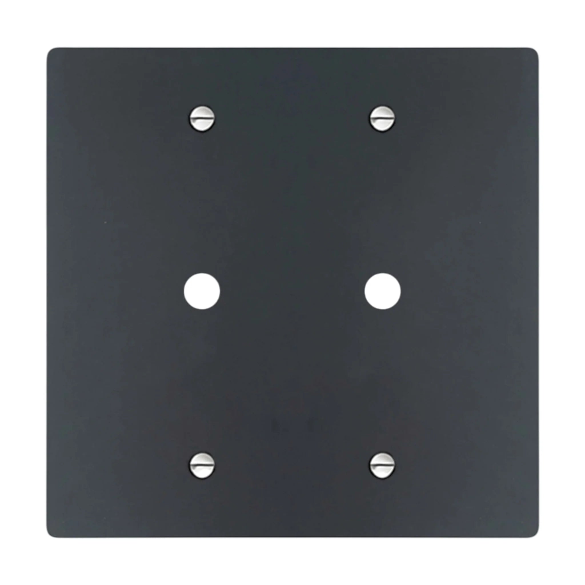 2-gang solid brass wall plate in matte black finish, double rotary dimmer opening