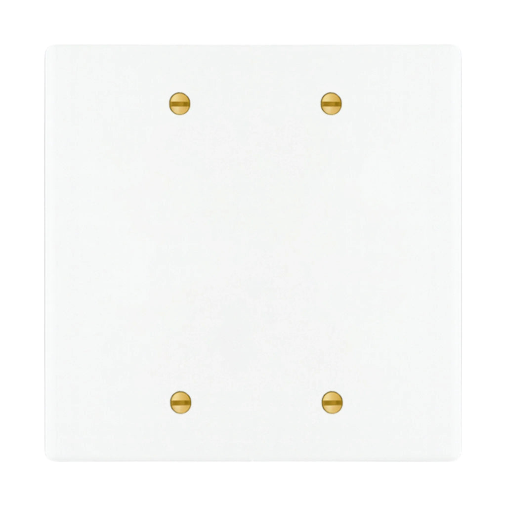 2-gang blank wall plate in White with Brass Accents finish