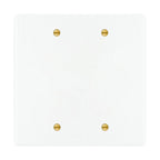 2-gang blank wall plate in White with Brass Accents finish