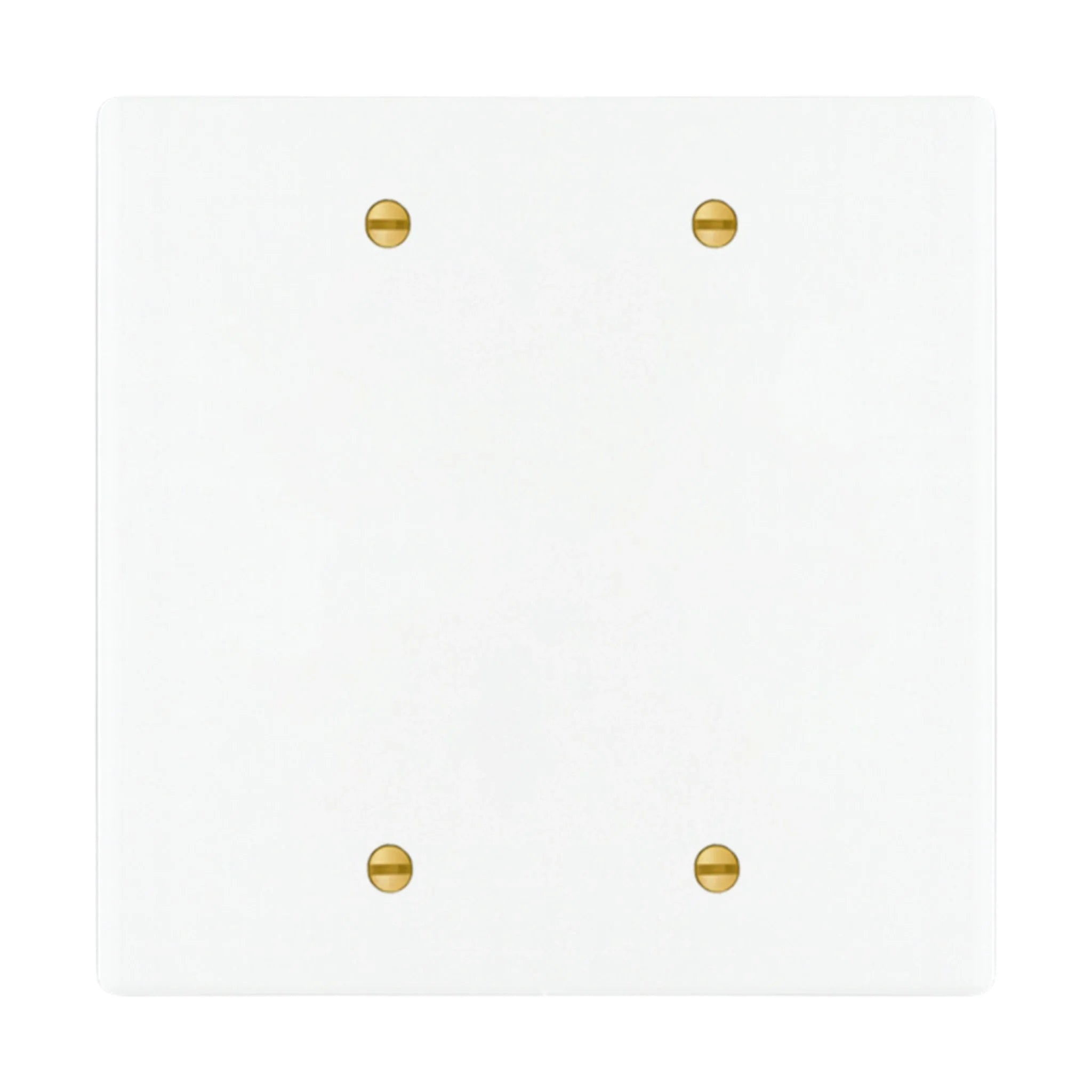 2-gang blank wall plate in White with Brass Accents finish