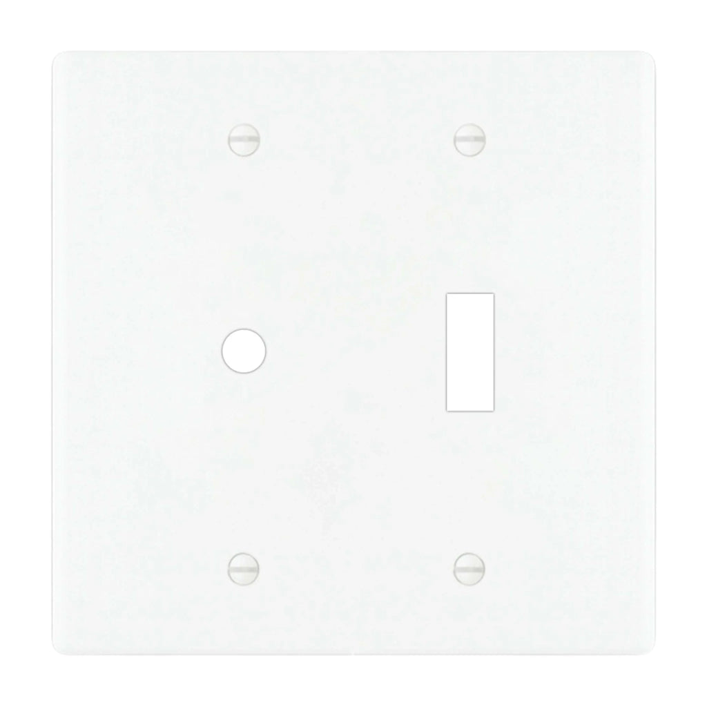 2-gang solid brass wall plate in white finish, rotary dimmer plus toggle opening
