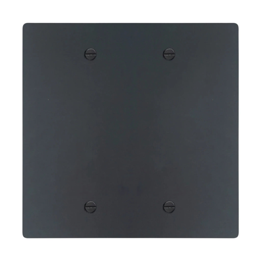 2-gang blank wall plate in Matte Black finish (coated brass)