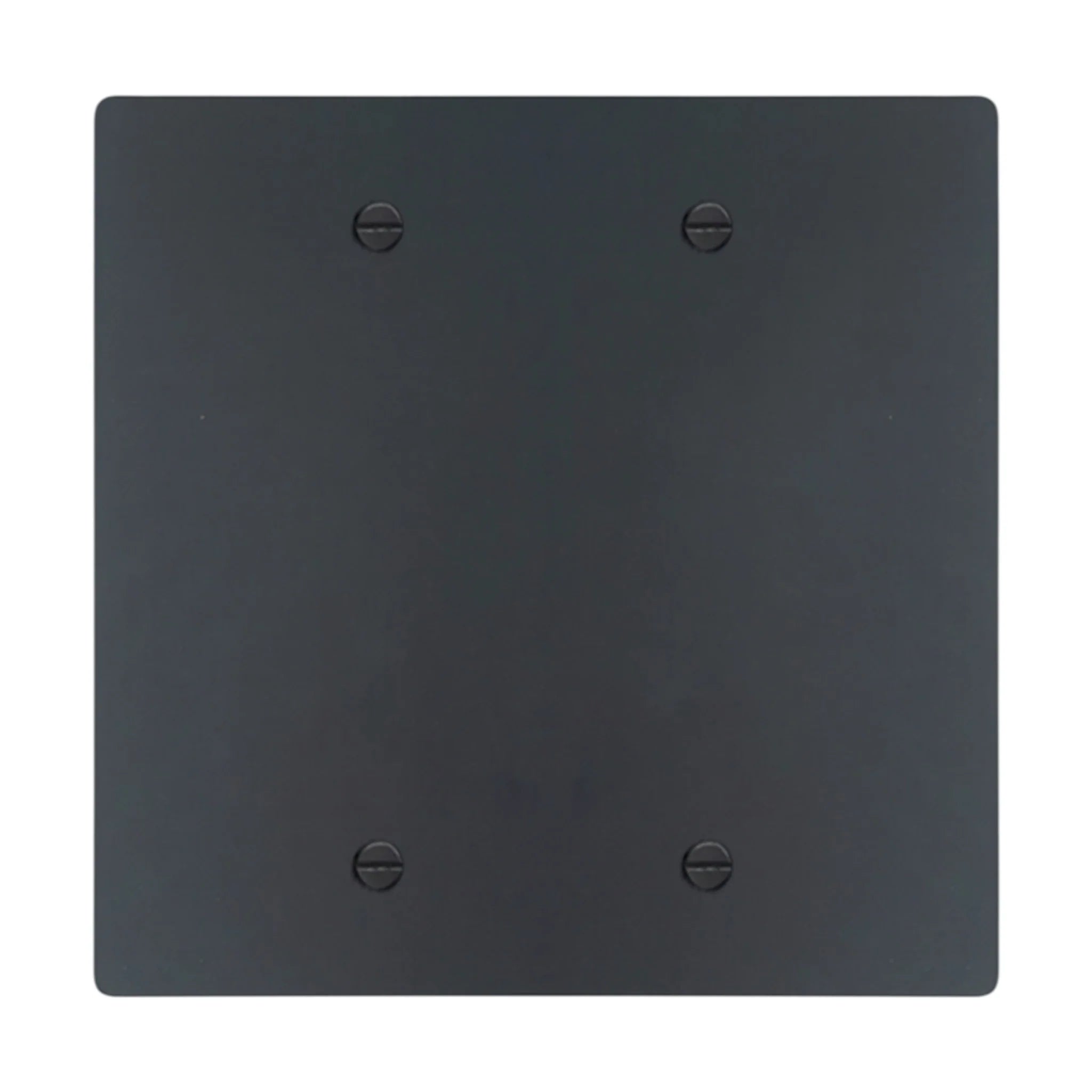 2-gang blank wall plate in Matte Black finish (coated brass)