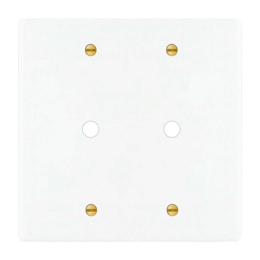 White wall plate with gold screws on a white background