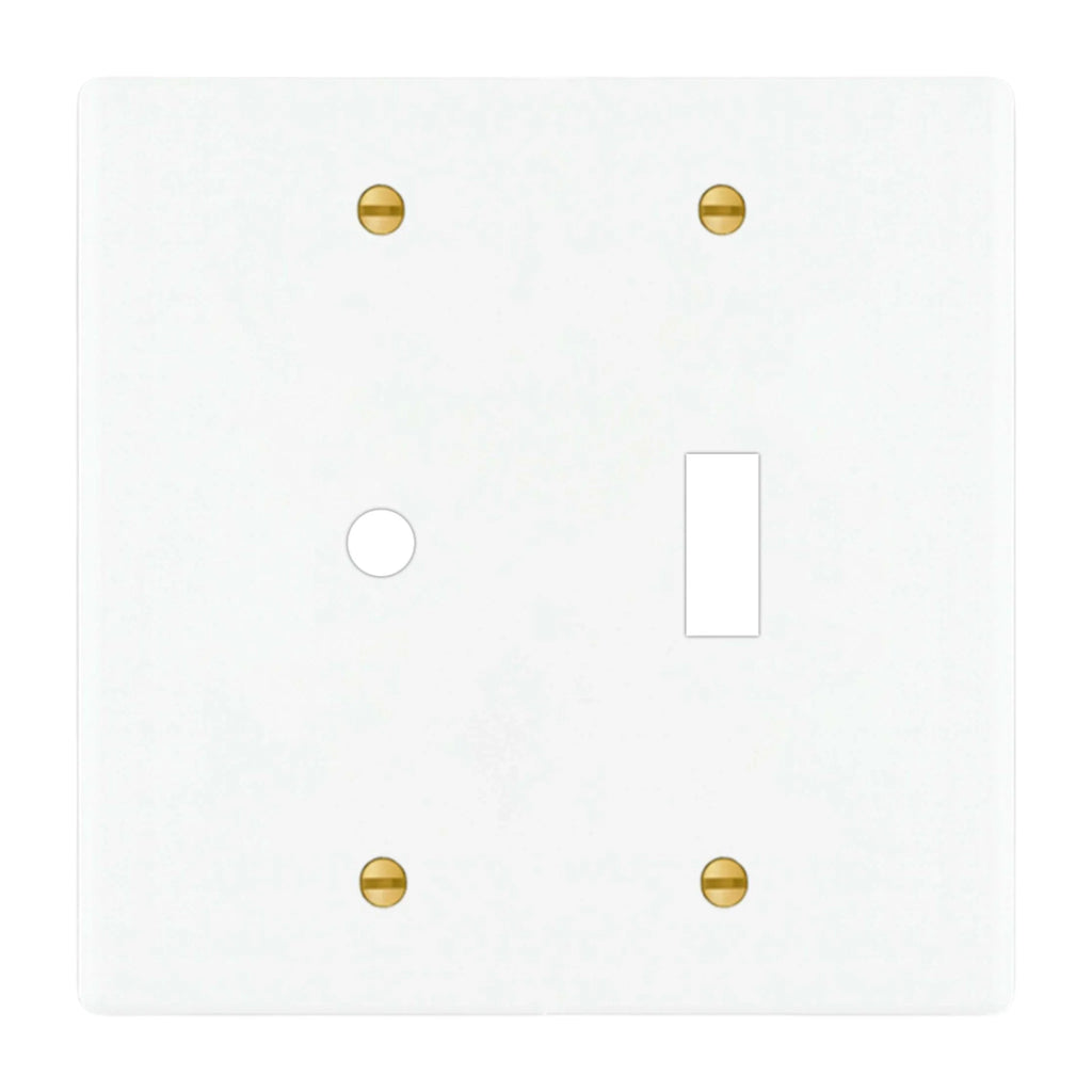 2-gang solid brass wall plate in white finish, rotary dimmer plus toggle opening