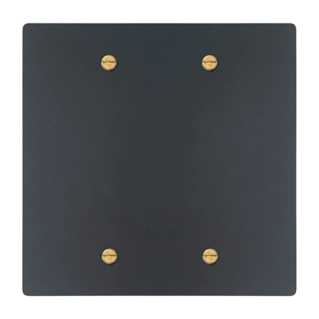 2-gang blank wall plate in Matte Black finish with brass screws (coated brass)