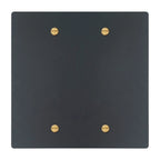 2-gang blank wall plate in Matte Black finish with brass screws (coated brass)