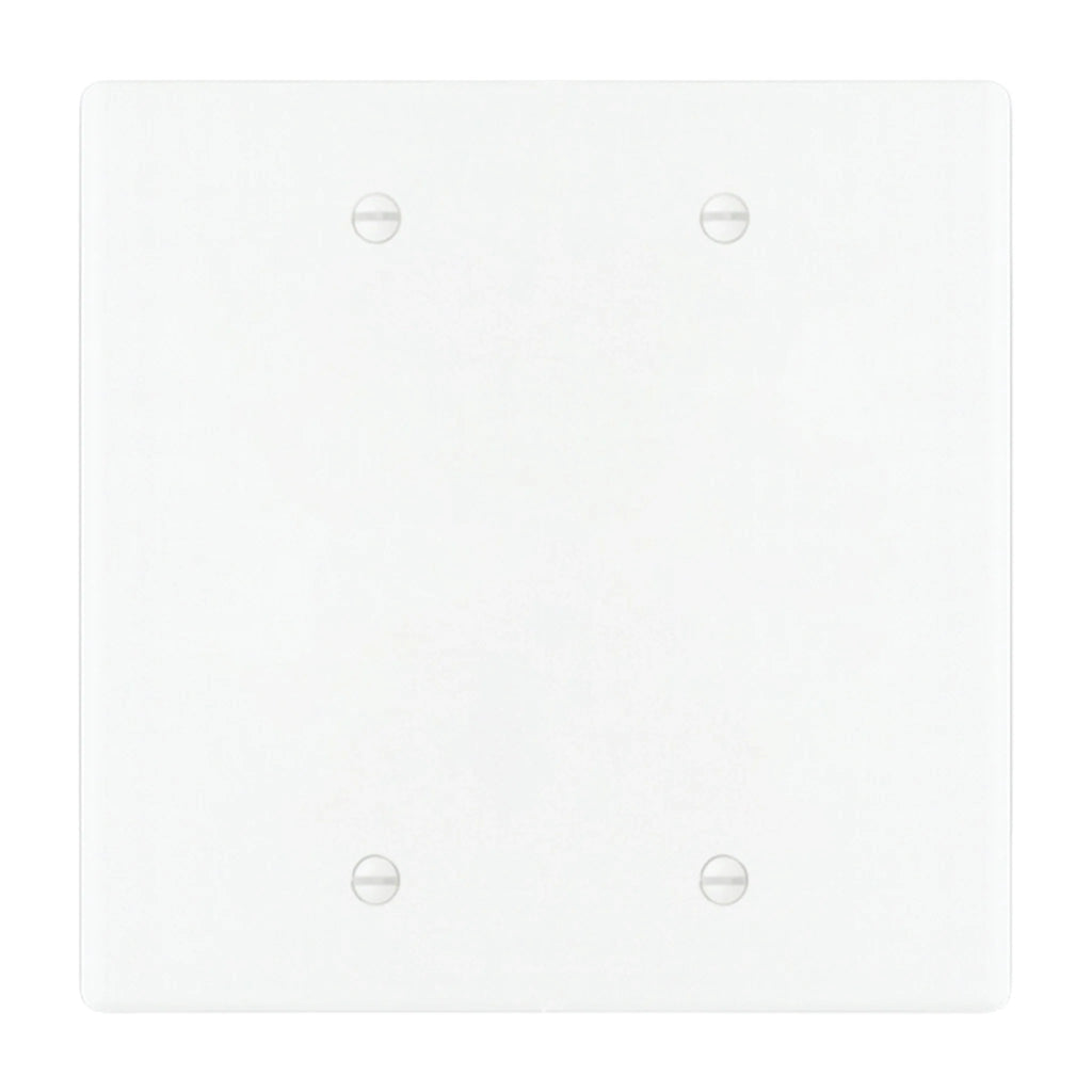 2-gang blank wall plate in White 