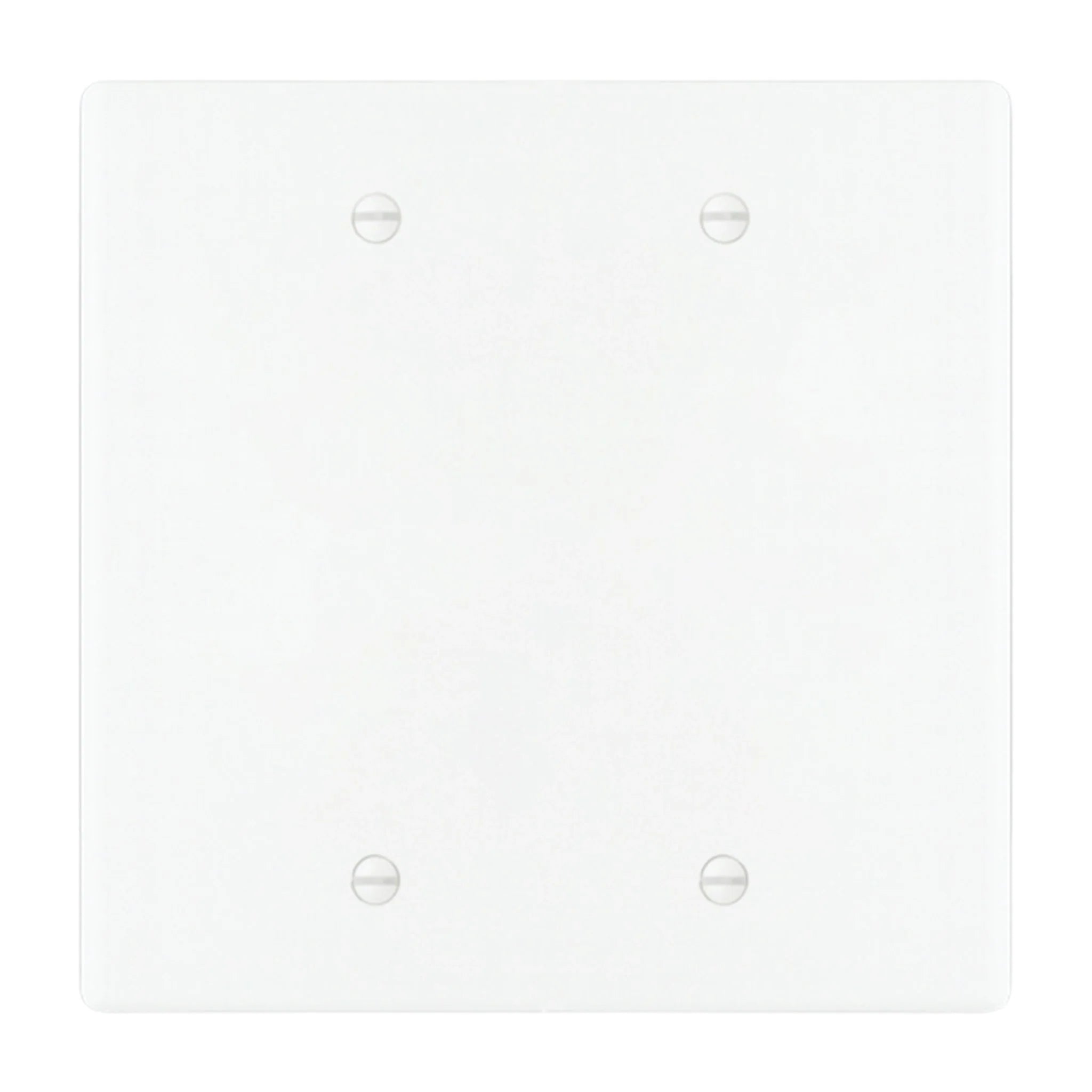 2-gang blank wall plate in White 