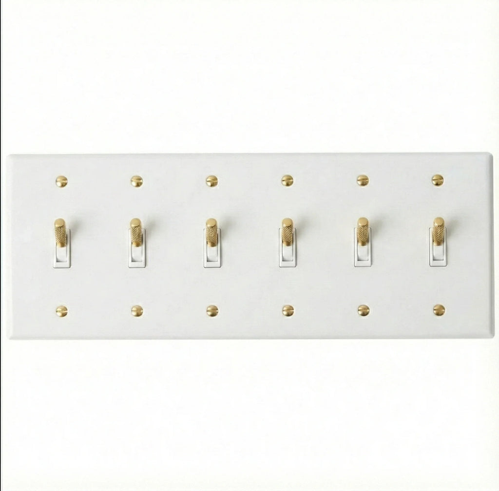 Close-up of knurled toggle detail on white 6-gang switch plate