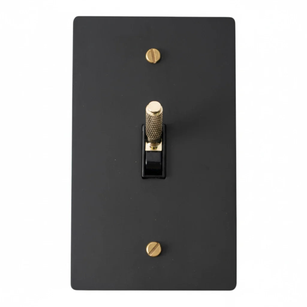 Black light switch plate with gold screws on a white background