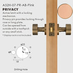Round Solid Brass Door Knob Set, European Mortise