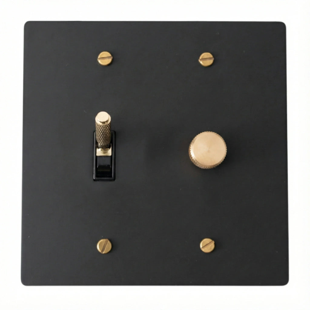 2 gang combo toggle light switch and rotary dimmer