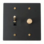 2 gang combo toggle light switch and rotary dimmer
