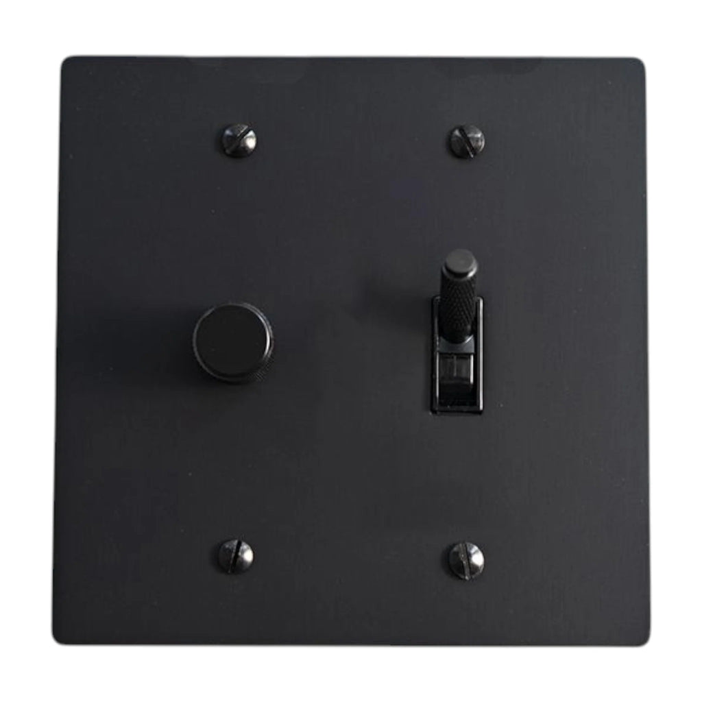 Black light switch plate with two switches on a white background
