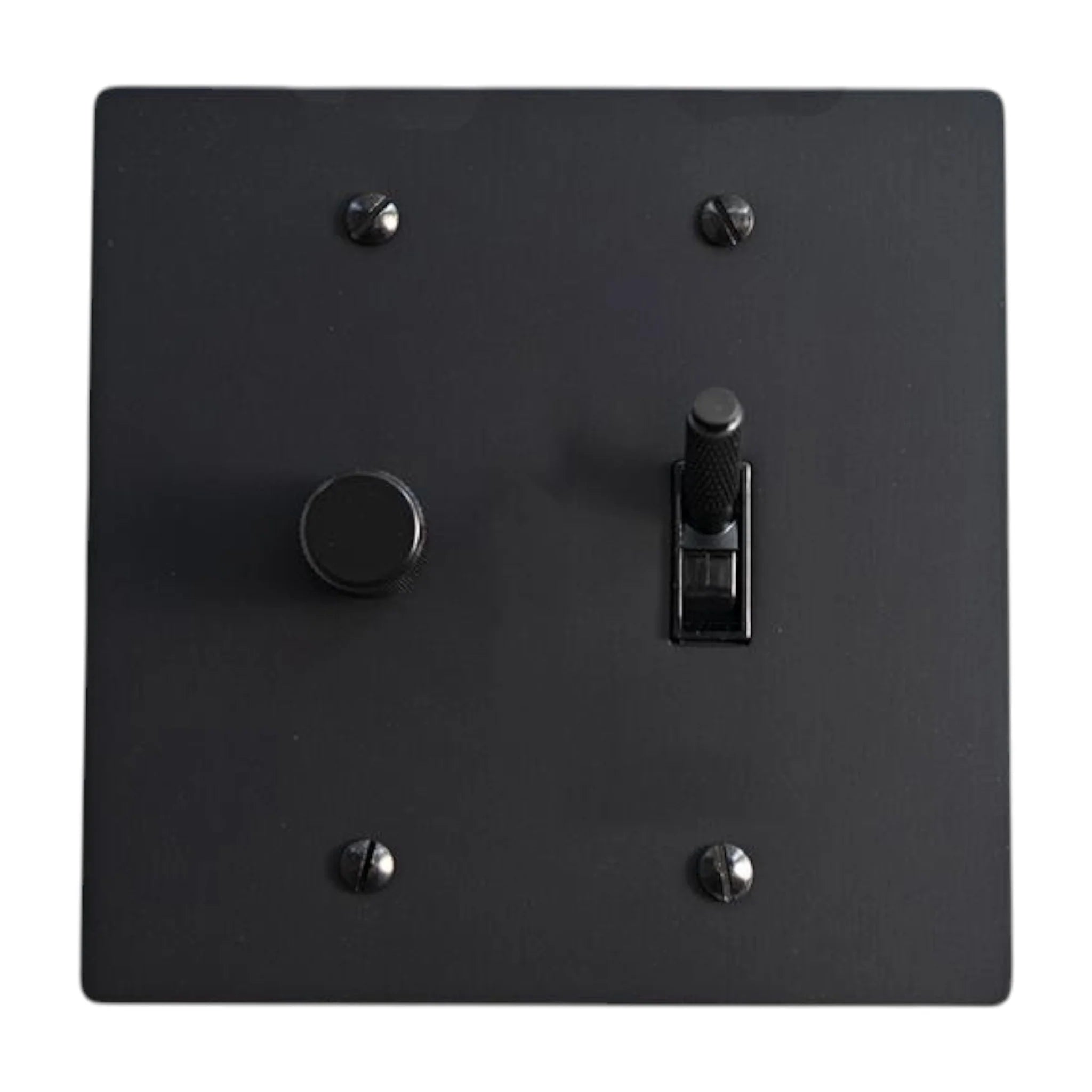 Black light switch plate with two switches on a white background