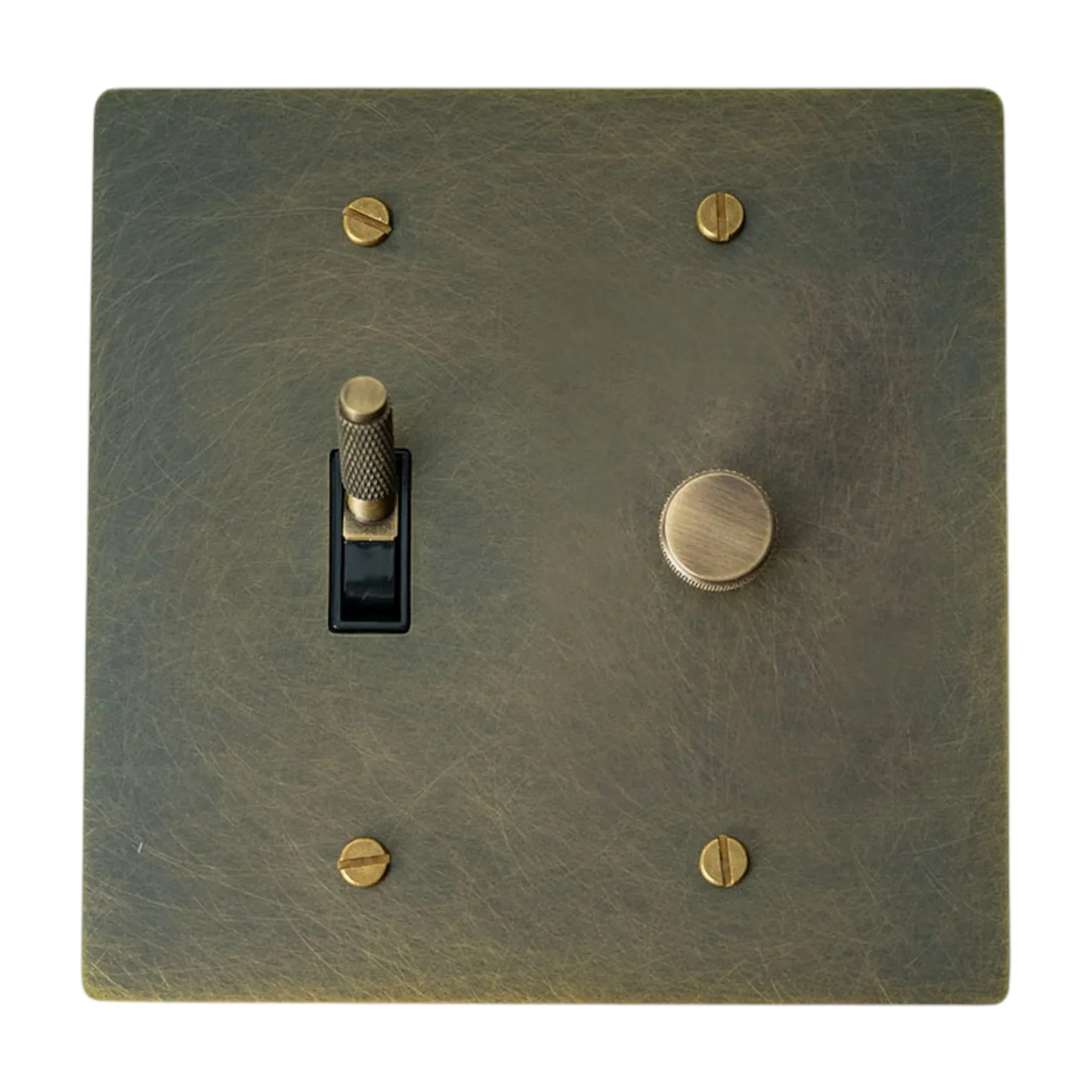 Decorative wall switch plate with brass screws on a white background