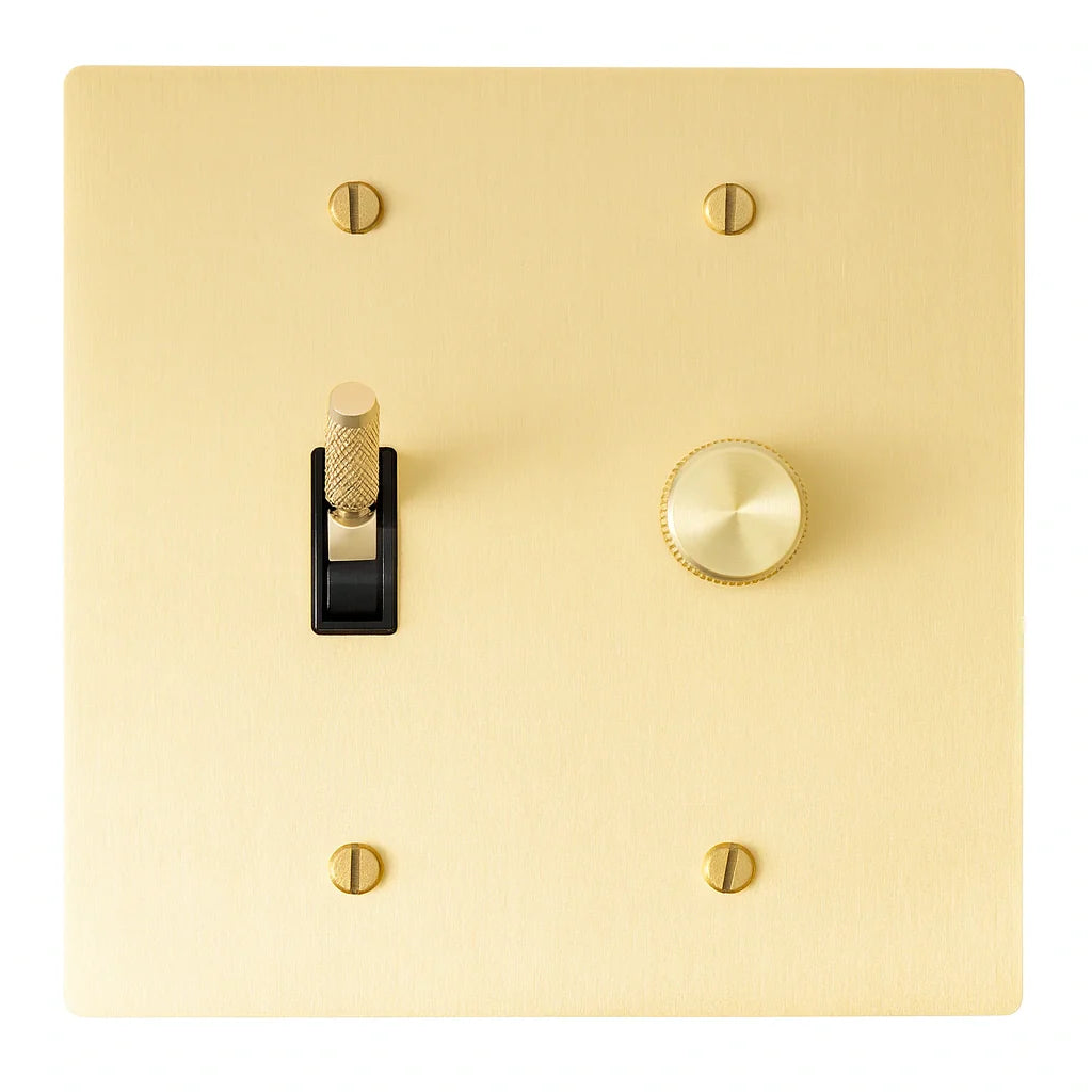 Gold light switch plate with a toggle switch and rotary dimmer on a white background