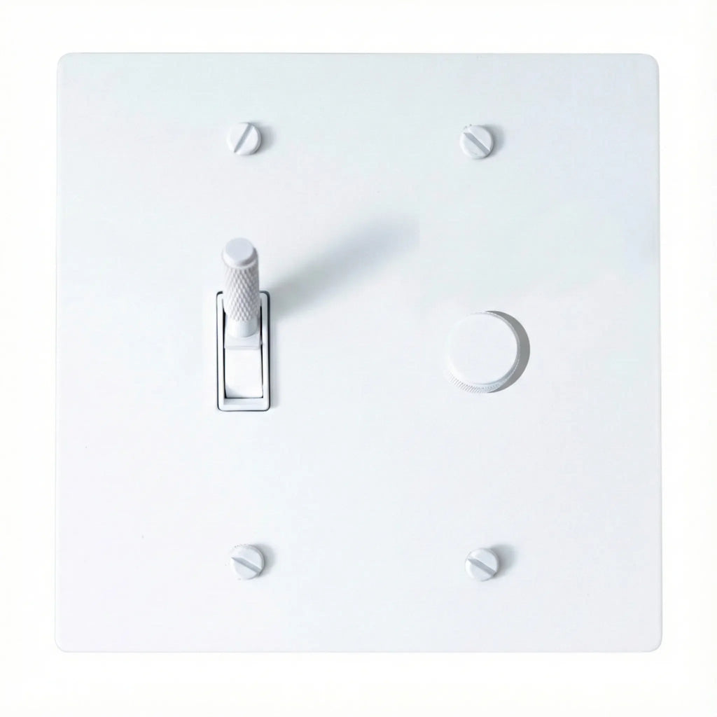 White light switch plate with a toggle switch and rotary dimmer on a white background