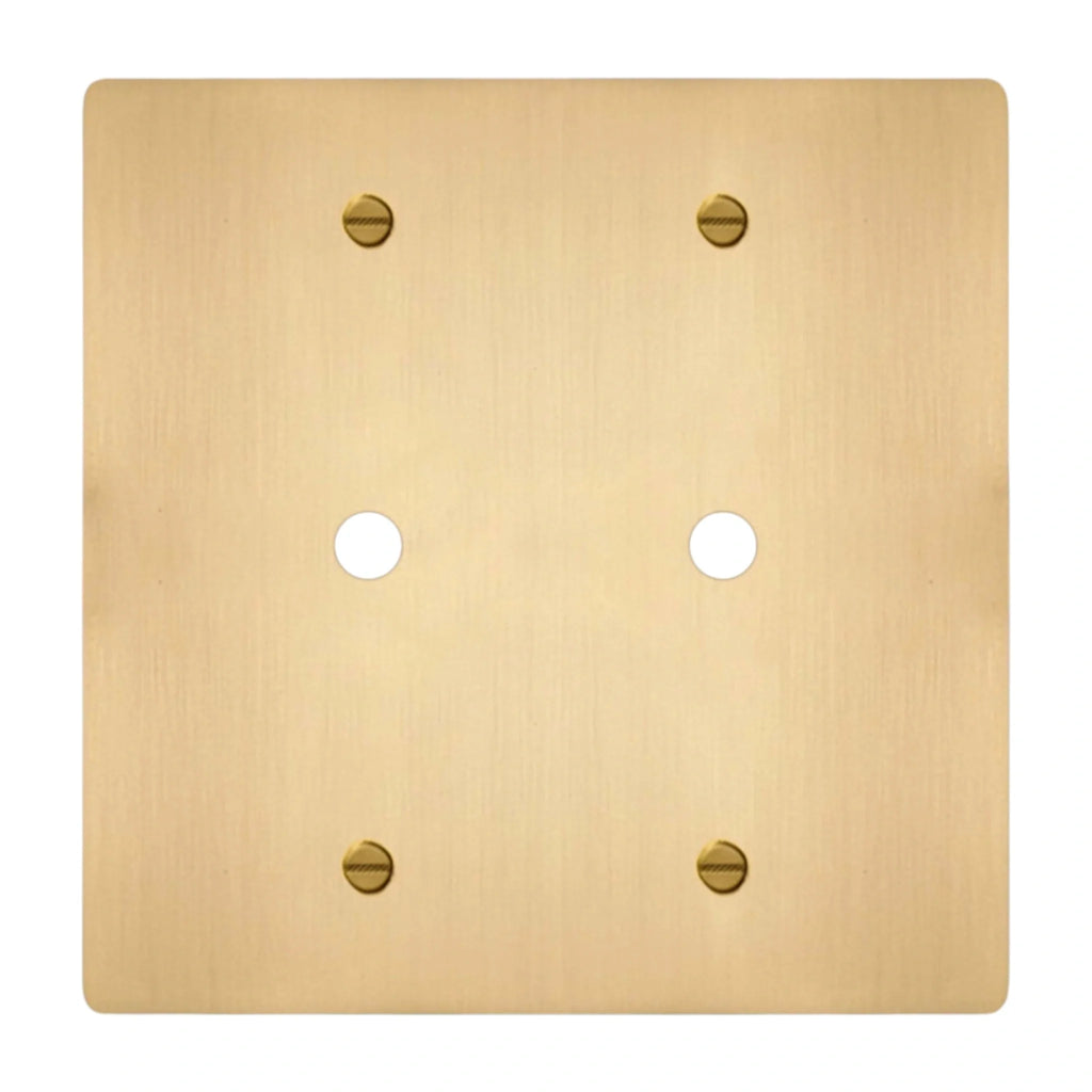 2-gang solid brass dimmer wall plate in satin brass finish, double rotary opening