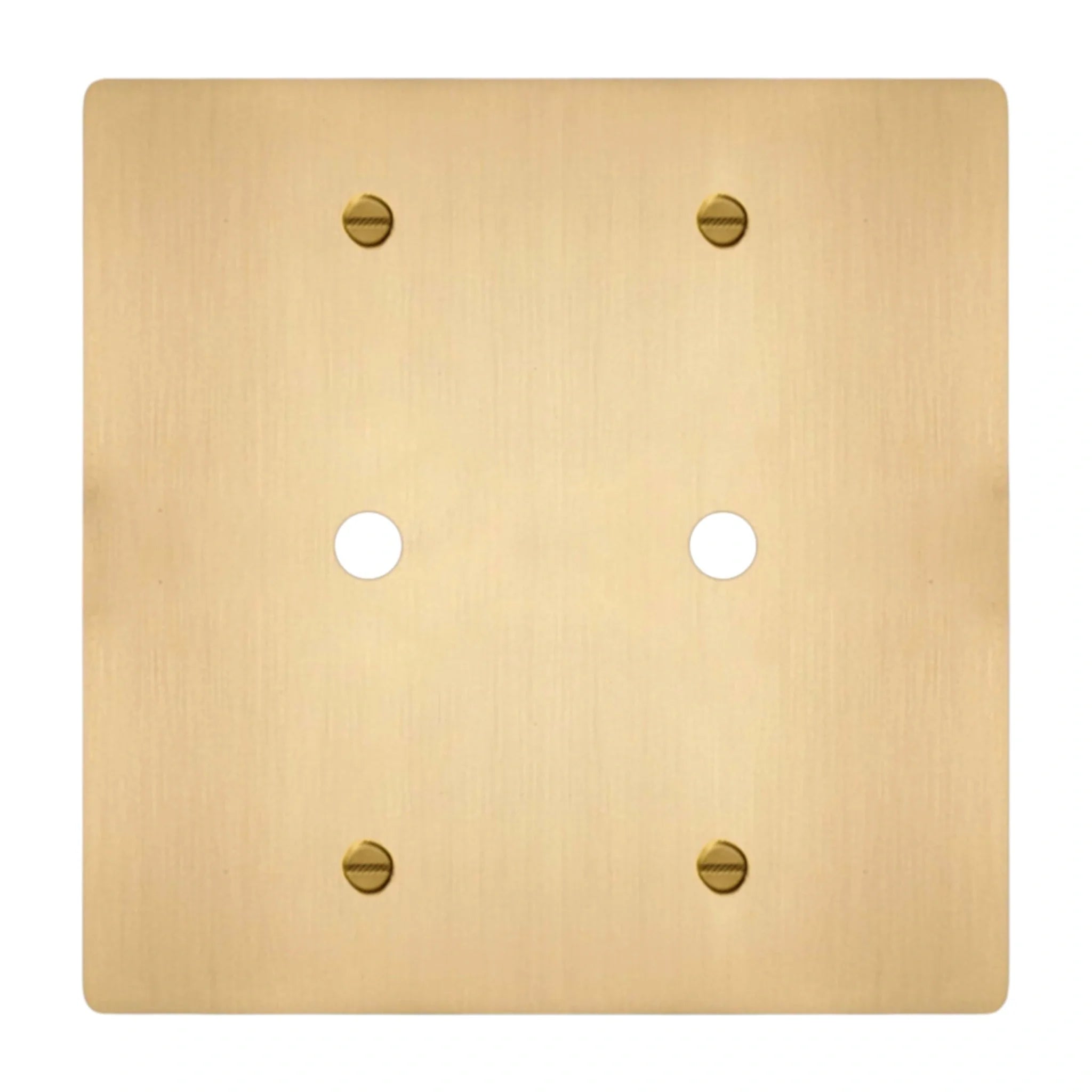 2-gang solid brass dimmer wall plate in satin brass finish, double rotary opening