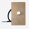 Low Voltage 0–10V LED Dimmer – Rotary Controller
