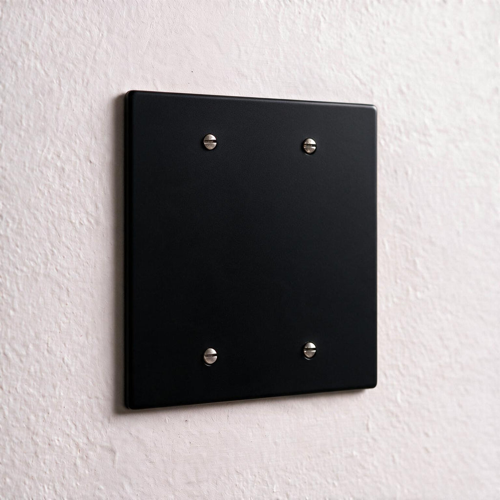 2-Gang Brass Blank Wall Plate