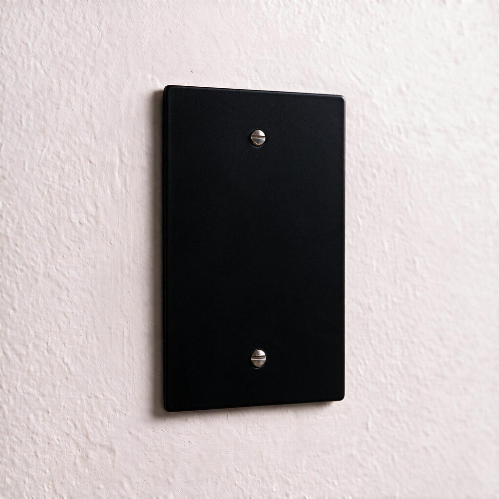 1-Gang Brass Blank Wall Plate