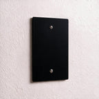 1-Gang Brass Blank Wall Plate