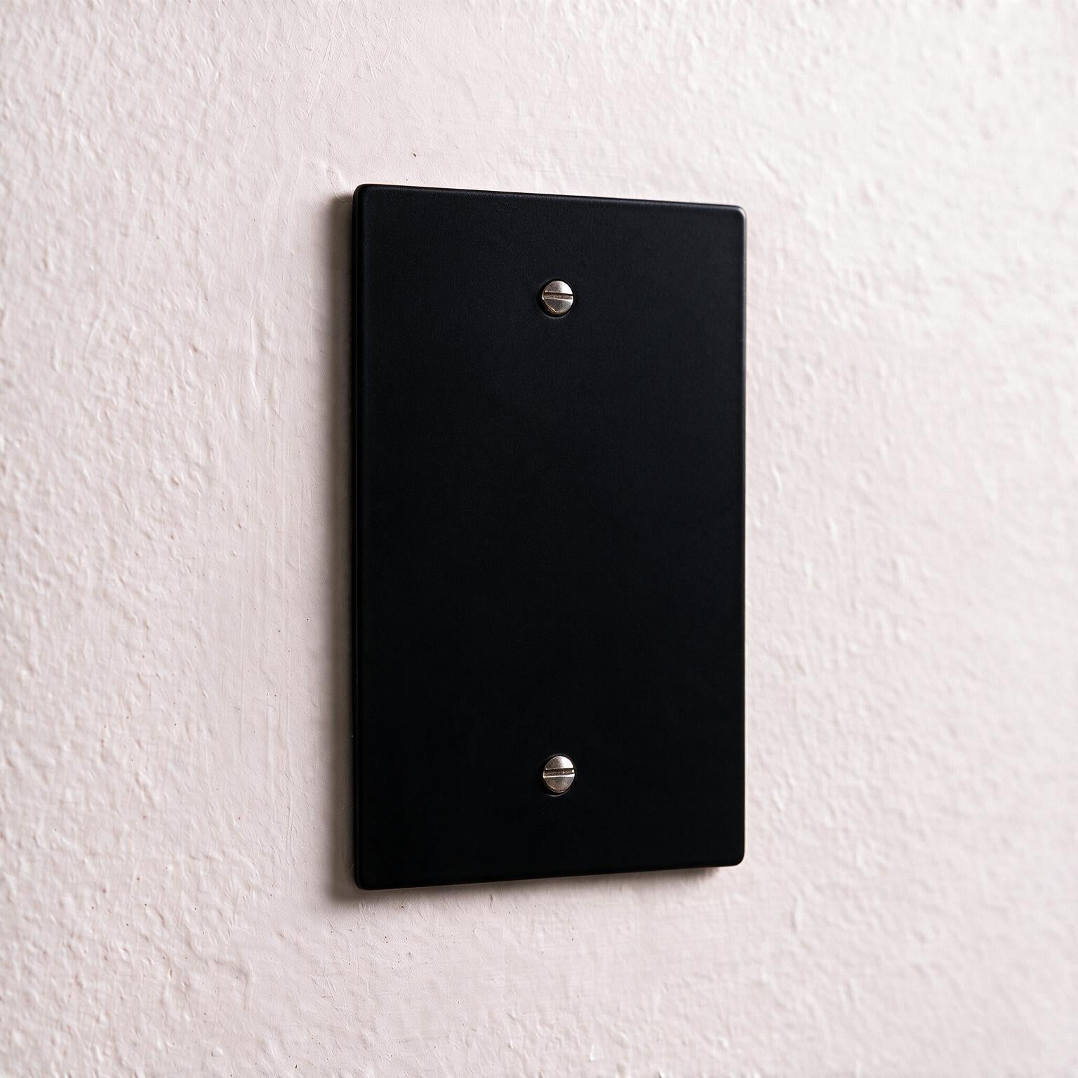 1-Gang Brass Blank Wall Plate