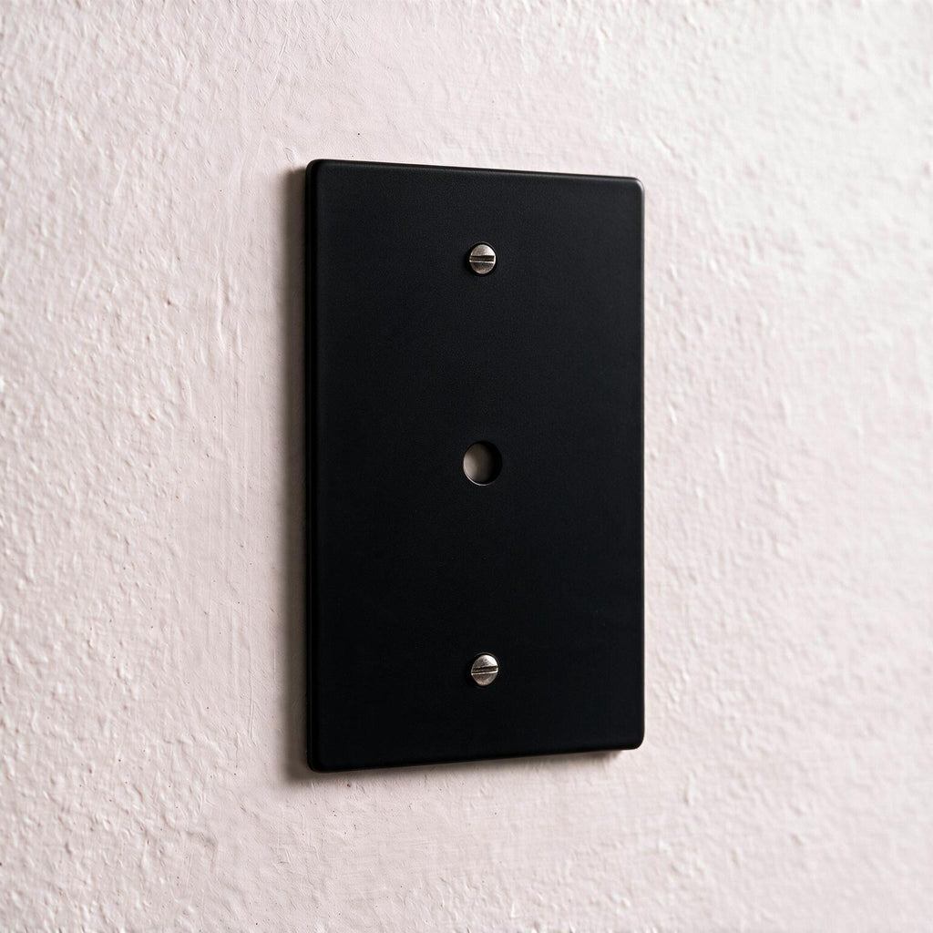 1-Gang Brass Dimmer Wall Plate (Rotary Opening)