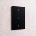 1-Gang Brass Dimmer Wall Plate (Rotary Opening)
