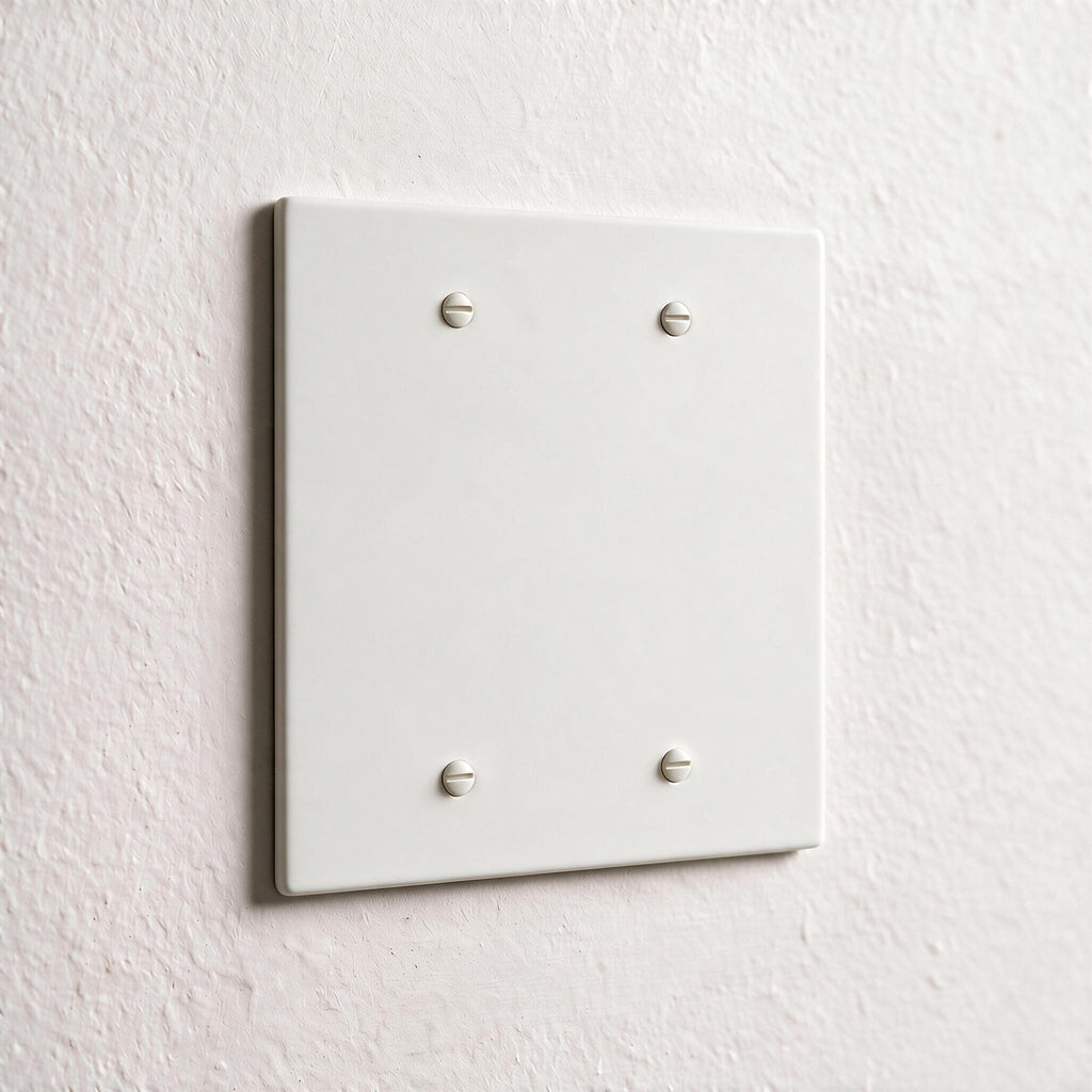 2-Gang Brass Blank Wall Plate
