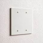 2-Gang Brass Blank Wall Plate