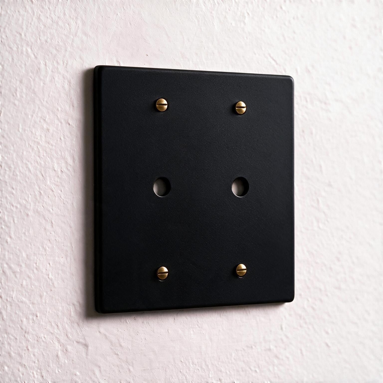 2-Gang Solid Brass Dimmer Wall Plate