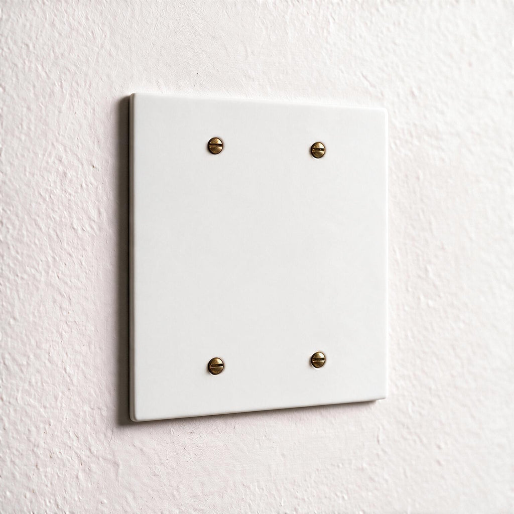 2-Gang Brass Blank Wall Plate
